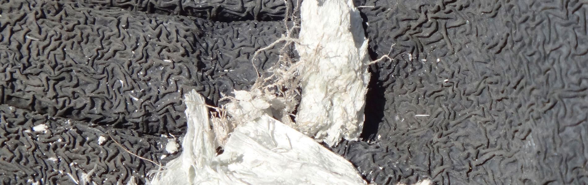 安全・確実にアスベストを処理できるプロフェッショナルの集団です。